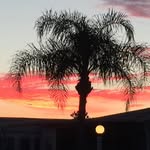 Sharon Flowers Bowden - @sharon_bowden - Instagram