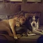 Sharon Bowerman - @sharon.bowerman - Instagram