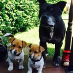 Sharon Bowyer - Facebook