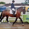 Sharon Boyles - @stumpy64 - TikTok