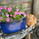 Sharon Braddock - @sharon.braddock.sharon - Instagram