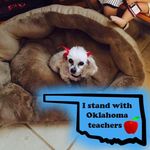 Sharon Bragg - @sharon.bragg.779 - Instagram