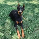 Sharon Bragg Bufano - @snuffy0725 - Instagram