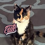 Sharon Rotenberry Bragg - @sharon.r.bragg - Instagram