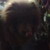 sharonbragg781 - @sharonbragg781 - TikTok