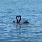 Sharon Brain - @sharonbrain28 - Instagram