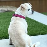 Sharon Brainard - @brainards - Instagram