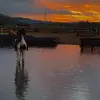 sharon_bramble - @sharon_bramble - TikTok