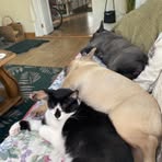 Sharon Briscoe - Facebook