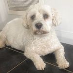 Sharon Briscoe - @sharon.briscoe.946 - Instagram