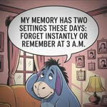 Sharon Briscoe - @abc.sharon - Instagram