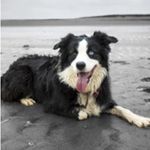 Sharon Brogden - @sharon.brogden.98 - Instagram