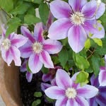 Sharon Attaway Brogdon - @sharonattawaybrogdon - Instagram