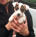 Sharon Brough - Facebook