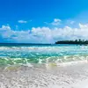 sharonbrowder412 - @sharonbrowder412 - TikTok