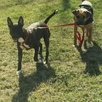 Sharon Broyles - Facebook