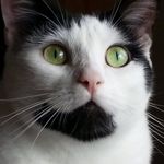 Sharon Brubaker - @sjbrubaker49 - Instagram