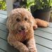 Sharon Bruno - Facebook