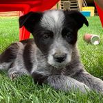 Sharon Bruno Olsen - @sharon_olsen - Instagram