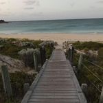 Sharon Bucher - @shazbuch - Instagram