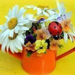 Sharon Bucherich - @sharonbucherich - Instagram