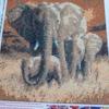 Sharron Buckingham - @sharron.buckingha - TikTok