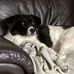 Sharon Buckle - Facebook