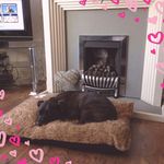 Sharon Buckley - @sharon.buckley.9003 - Instagram
