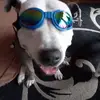 sharonbuckley846 - @sharonbuckley846 - TikTok