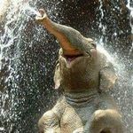Sharon Bulmer - @bulmersharon - Instagram