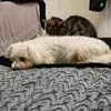 misty123 - @sharon.bunce - TikTok