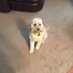Sharon Bunce - @bunce224 - Instagram