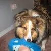 Sharon - @sharonbuncegoodin - TikTok