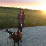 Canine Care - @sharon_bunn_ - Instagram