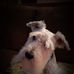 Sharon Bunn - Facebook