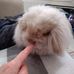 Sharon Bunn - Facebook