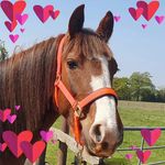 Sharon Bunn Was Parker - @bunn_xx - Instagram