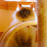 Sharon Burcham - @burcham29 - Instagram