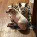 Sharon Burchfield - Facebook