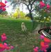 Sharon Burchfield - Facebook