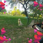 Sharon Burchfield - @sharon.burchfield.750 - Instagram