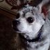 Sharon Burgin - Facebook