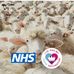 Sharon Burgin - Facebook