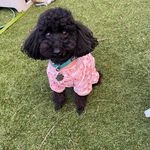 Sharon Burgin - @burginshaz - Instagram