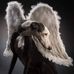 Sharon Burleigh - Facebook