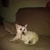 Sharon Burnham - Facebook