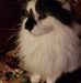 Sharon Burnham - Facebook