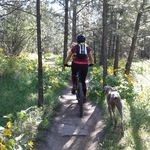 Sharon Burnham Kilistoff - @skaykili - Instagram