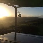 Sharon Burris - @saburris61 - Instagram