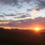 Sharon Burris - @sharonburris15 - Instagram
